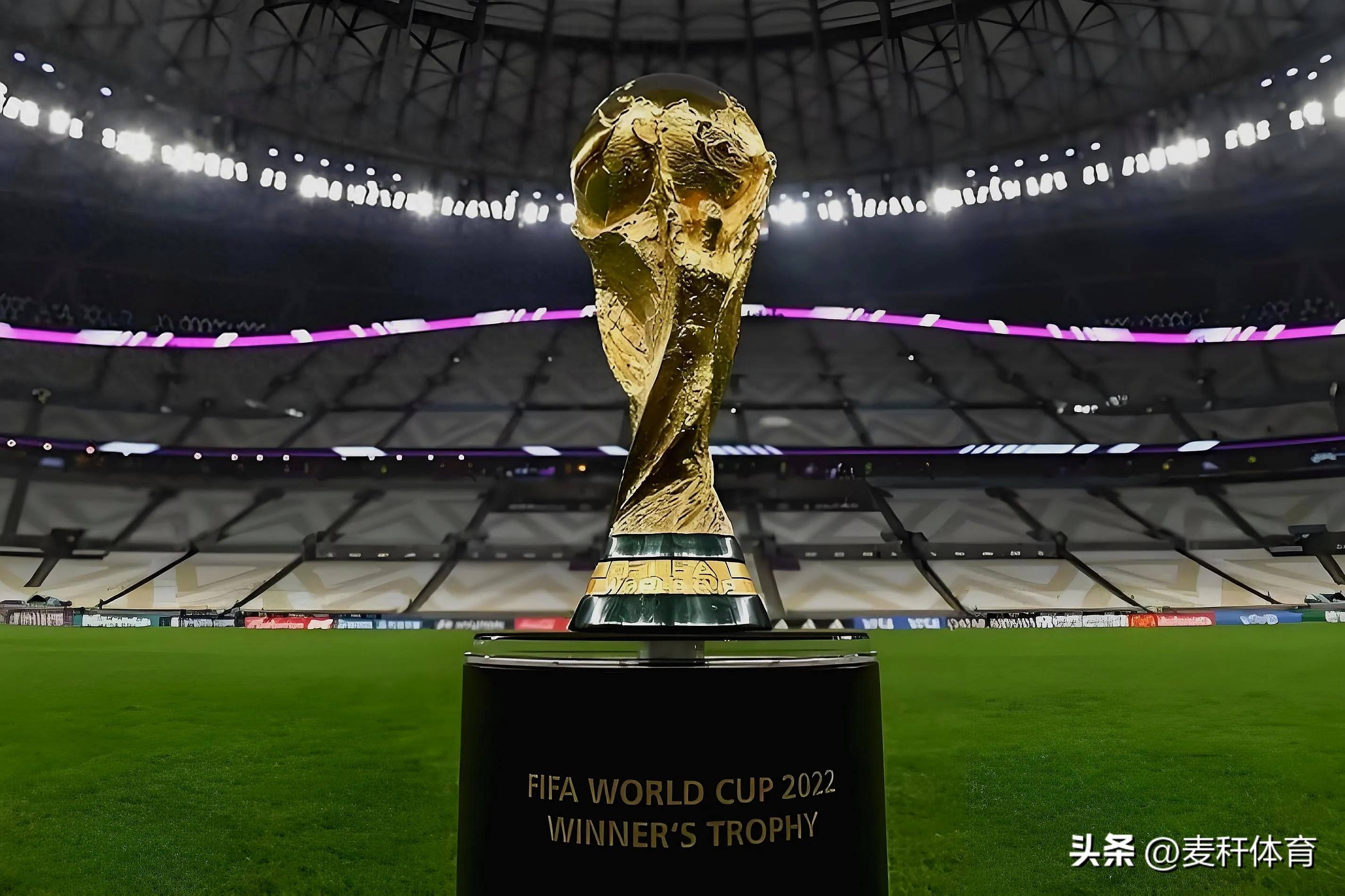 能量回复搭 能量回复搭