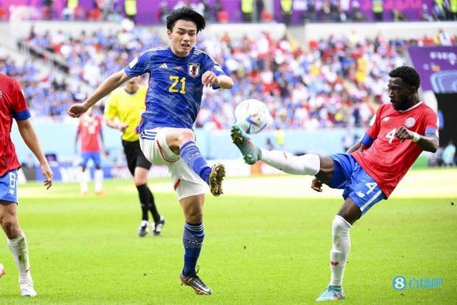 以下为主办 以下为主办